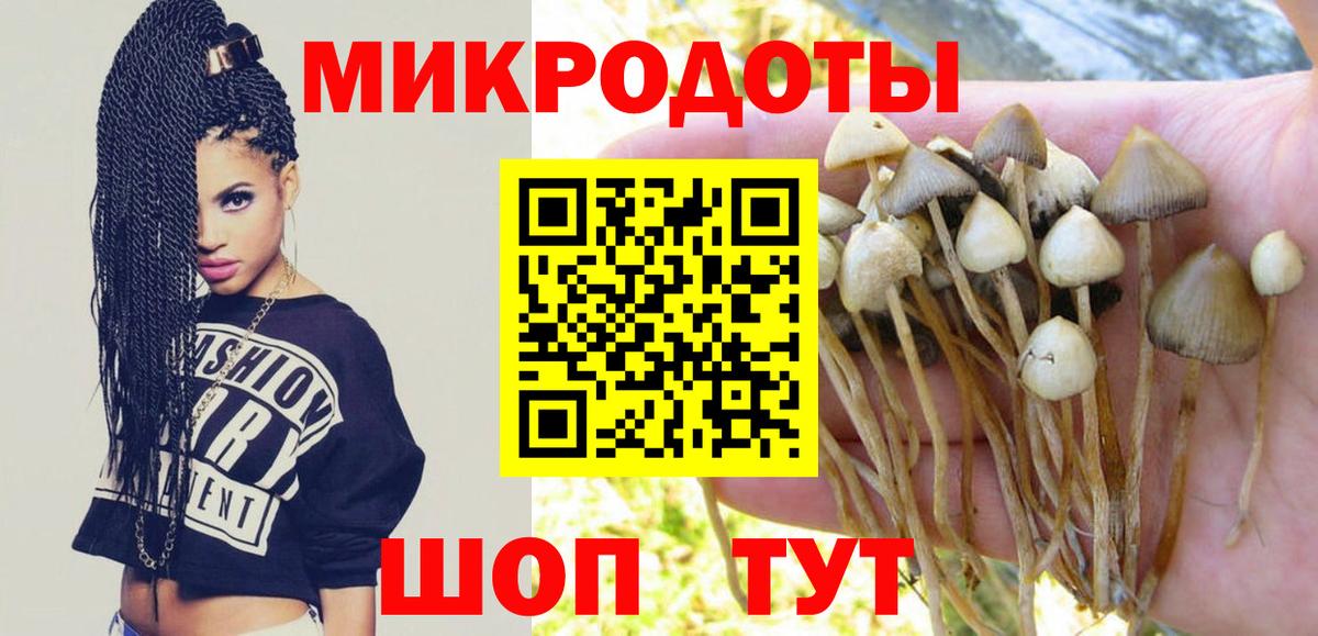 Красногорск  даркнет сайт  Галлюциногенные грибы GOLDEN TEACHER  Вход с VPN  Псилоцибиновые грибы MAGIC MUSHROOMS 